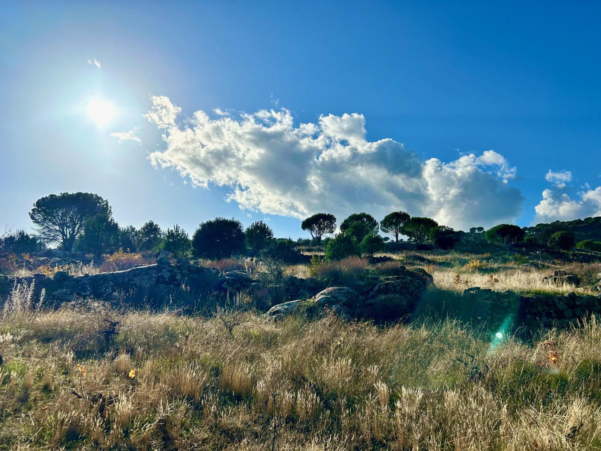 Casa Rural, “El Andador” El Hoyo de Pinares Eksteriør bilde