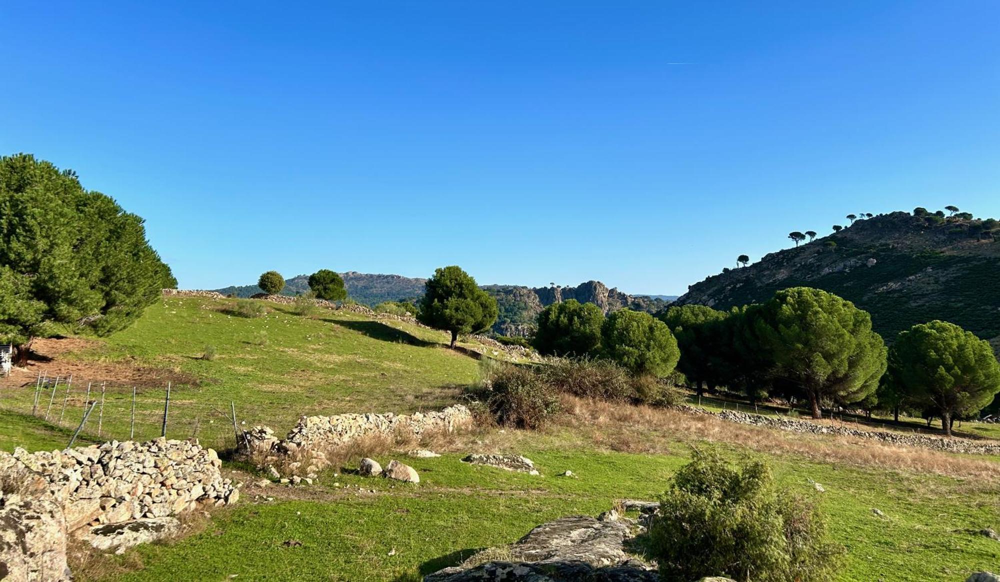 Casa Rural, “El Andador” El Hoyo de Pinares Eksteriør bilde